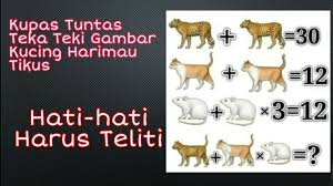 Jawabannya yang absurd membuat netizen membanjiri kolom komentarnya karena sangat lucu. Teka Teki Gambar Harimau Kucing Tikus Youtube