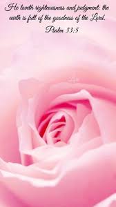 Whenever you see a rose, think of jesus, the rose. Bible Verses Flowers
