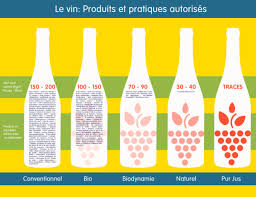 A eu une influence politique forte et a contraint. Le Petit Precis De Vin Nature De Fleur Godart Et Justine Saint Lo Oui Le Magazine De La Ruche Qui Dit Oui