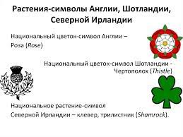 Древние кельты считали, что белый клевер обладает даже то, что северная ирландия входит в состав соединенного королевства. Soedinyonnoe Korolevstvo Velikobritanii I Severnoj Irlandii Prezentaciya Onlajn