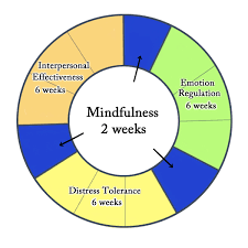 dialectical behavior therapy wikipedia