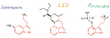The Ultimate Guide To Microdosing Lsd Backed By Research