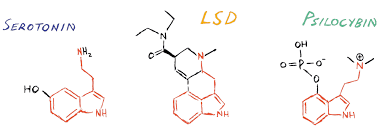 the ultimate guide to microdosing lsd backed by research