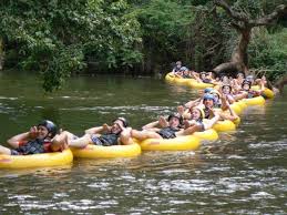 45 Fun Family Vacation Activities In South Africa Vacation Activities Best Family Vacations South Africa Road Trips