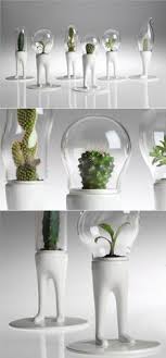 Then transfer the ball to a colander for a few minutes to drain any excess water. 310 Best Terrarium Planters Fish Bowls Ideas Fish Bowl Planters Terrarium