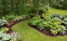 Neil has been doing landscaping and lawn service for many years. Woodbridge Ct Spring Yard Cleanups Lawn Care Maintenance Spring Landscape Cleanup Near Me Riley Tree And Landscaping L L C