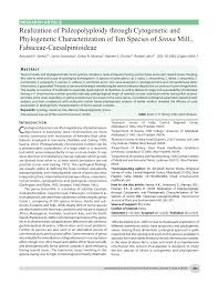 Image result for Cleome polyanthera