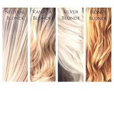 There Are So Many Different Types Of Blonde What S Your Favorite Types Of Blondes Hair Life Honey Blonde