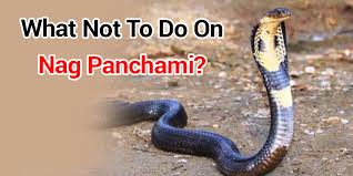 Nag panchami puja performed on the day of nag panchami is highly auspicious and rewarding. Ui5ifj9jvyoxom