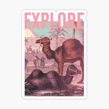 Vintage engraving of a arab camel train crossing the desert, 19th century. Camel In Desert Stickers Redbubble