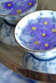 Maybe you would like to learn more about one of these? Buy Winter Windflower Blue Flowered Bulbs Anemone Blanda Blue Flowered 5 99 Delivery By Crocus