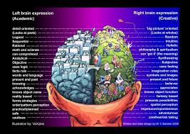 Pin On Brain