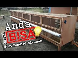 Keberadaan ayam juga bisa menjadi sarana edukasi yang menarik bagi balita dan. Membuat Rangka Kandang Pembesaran Anak Ayam Bangkok Praktis Tahap Ke 1 Youtube Di 2020 Kandang Ayam Ayam Membesarkan Anak