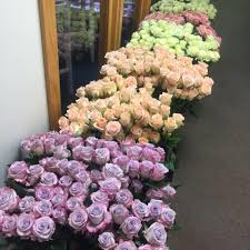 We have been voted the #1 florist in livingston county for the past 14 consecutive years. Country Lane Flowers Home Facebook