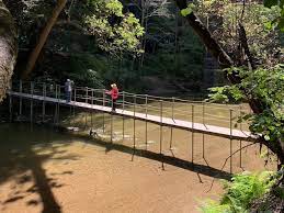 Henry cowell state park picnic area. Trail Guide The River Trail At Henry Cowell Redwood Sp Visit Santa Cruz County