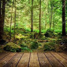 Your nature trees background stock images are ready. Forest Trees Nature Green Wood Sunlight Backgrounds Sky Stock Photo Picture And Royalty Free Image Image 88284381
