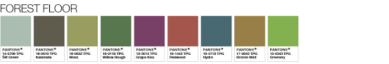 Color Of The Year 2017 Pantone Color Of The Year 2017