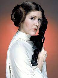 Protected Blog Log In Star Wars Princess Leia Star Wars Princess Princess Leia Hair