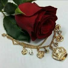 70 Odnoklassniki Beautiful Rose Flowers Beautiful Roses Beautiful Flowers