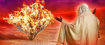 Is there a scientific explanation behind Moses and the Burning Bush? | Office for Science and Society - McGill University