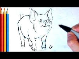 7 How To Draw Realistic Pig Line Drawing Step By Step Tutorial Youtube Realistic Drawings Bird Drawings Step By Step Drawing