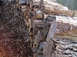 Another spot to hunt down free firewood near you: Free Firewood 8 Places To Find It Near You Insteading