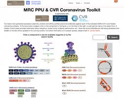 Find the latest cvr energy inc. Mrc Ppu Cvr Coronavirus Toolkit Website Mrcppu Covid Bio Mrc Ppu
