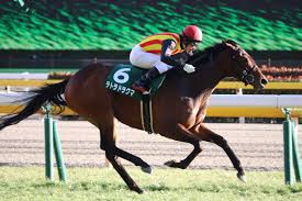 Nhk, also called japan broadcasting corporation, is japan's public broadcaster. Nhkãƒžã‚¤ãƒ«ã‚«ãƒƒãƒ—2018ã®ç«¶é¦¬äºˆæƒ³åˆ†æž ç‰é¦¬å†ã³ ãƒ†ãƒˆãƒ©ãƒ‰ãƒ©ã‚¯ãƒžã®å¼·èª¿ææ–™