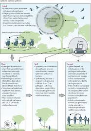 Maybe you would like to learn more about one of these? Land Use Induced Spillover A Call To Action To Safeguard Environmental Animal And Human Health The Lancet Planetary Health