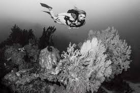 You need adequate swimming skills and need to be in good physical health. Challenging The Rules Of Scuba Diving Scuba Diving News Gear Education Dive Training Magazine