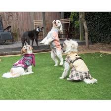 We, and our cats, were treated with professionalism and kindness in all interactions and we wouldn't. Reach For The Paws Abode2