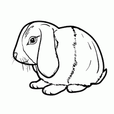 De motieven van de kleurende pagina's variëren van dieren tot landschappen en steden tot abstracte afbeeldingen van verschillende objecten. Kleurplaat Van Een Konijntje Printen Leuk Voor Kids