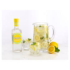 En ese sentido, la influencia de la publicidad no es menor ya que la variedad de ofertas que. Verano Lemon Premium Gin Ocado