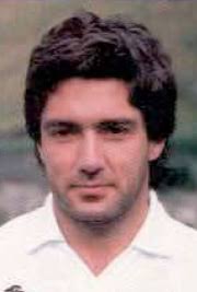 Julià, Narcís Julià Fontané