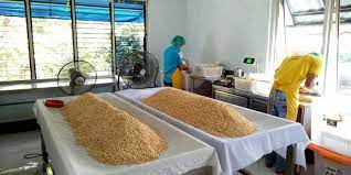 Disebut Pekerjaan Seni Bagaimana Proses Pembuatan Tempe Higienis Halaman All Kompas Com