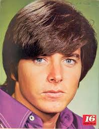 Who is Bobby Sherman?