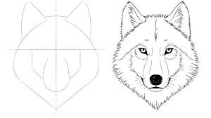 how to draw a wolf face head step by step easydrawingtips wolf face drawing wolf drawing easy drawing tutorial easy