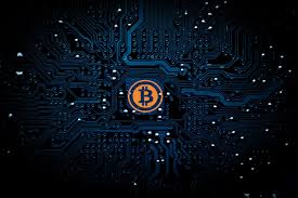 ✓ free for commercial use ✓ high quality images. Cardano Wallpapers Wallpaper Cave