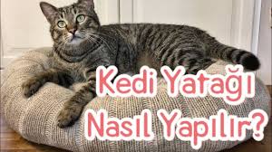 Kedi Yatagi Yapiyoruz Kedi Sevimli Kediler Hayvanlar