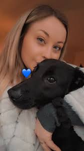 Digby kitten is reaching great heights