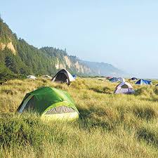 Maybe you would like to learn more about one of these? Gold Bluffs Beach Campground