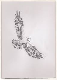 Healed osprey tattoo tattoos tattoo designs art tattoo. Pin White Tattoo Osprey Pro Scooter Scooters On Pinterest Tattoos Pro Scooters Get A Tattoo