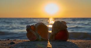 On december 11th, experience the magic of the holiday season at the olde mistick village. 4 Best Mystic Ct Beaches