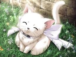 Pin By Hila Ozer On Neko Anime Kitten Anime Animals Cute Anime Cat