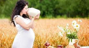 Is it really necessary to drink milk during pregnancy? | TheHealthSite.com