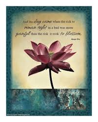 Ebb206156ce9d13f843504ae1882c93d Jpg 560 700 Lotus Flower Quote Flower Quotes Lotus Flower Art