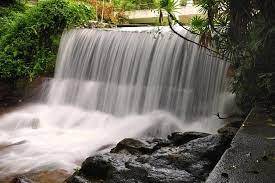 Share to twitter share to facebook share to pinterest. Penang Botanical Gardens Taman Botani Penang Penang Book Tickets Tours Today