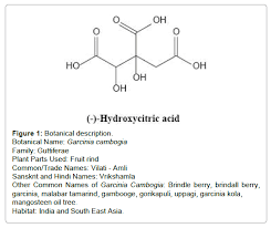 Image result for Garcinia huillensis