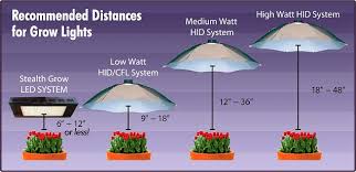 Hps Lighting For Cannabis Plants Green Cultured Elearning