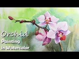 How To Paint Orchid Flower In Watercolor Youtube Flower Drawing Orchids Painting Flower Painting Videos